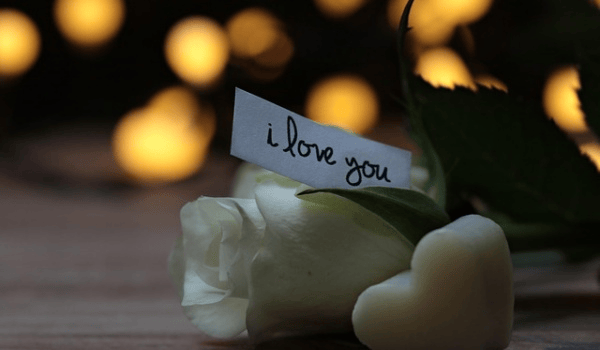 婚姻登记联网新规下：如何合法高效查询配偶