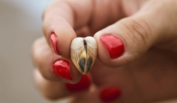 成都婚姻危机：妻子如何通过调查公司追回豪