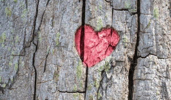 60岁大妈相亲遇奇事：63岁大爷提试婚，大妈试后直呼后悔