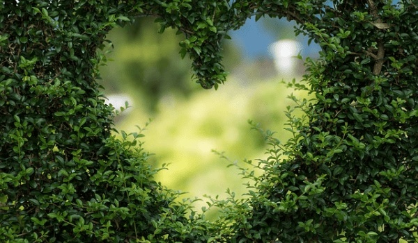 武汉中山公园相亲角：银发族的情感寻觅与孤