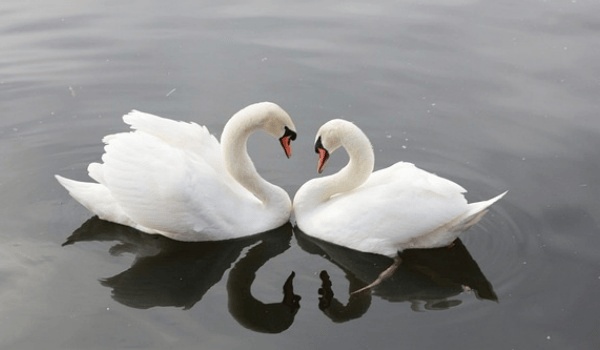 相亲防骗指南：如何合法且高效地查询对方婚姻状况？